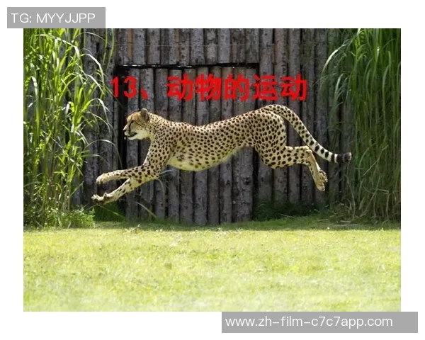 肾上腺足球的奇妙世界探索与运动科学的深度结合 肾上腺足球的奇妙世界探索与运动科学的深度结合